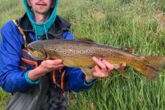 Committe member Stuart Fitzsimons with a beautifully conditioned soulseat brown trout