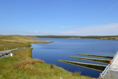 Penwhirrn