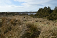 Knockquhassen-from-a-distance